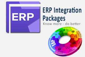 customized erp solution, erp services in india, erp solution and services for customized data anlysis